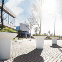 BALZAC Jardinière béton & banc bois│Metalco mobilier urbain design